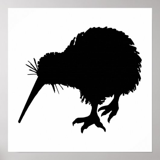 Poster Kiwi Bird Silhouette (Devant)