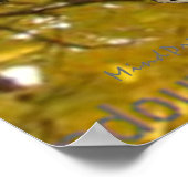 Poster Kiwi calme (Coin)