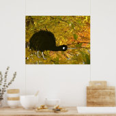 Poster Kiwi calme (Cuisine)