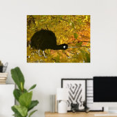 Poster Kiwi calme (Bureau à domicile)