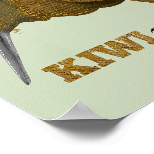 Poster Kiwi N.Z. Bird (Coin)