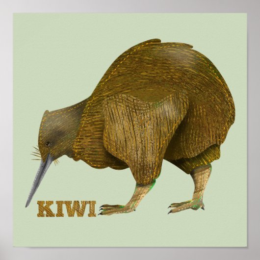 Poster Kiwi N.Z. Bird (Devant)