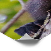 Poster Klassenregels (Hoek)