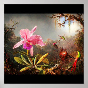 Poster-Klassiek/Vintage-Martin Johnson Heade 27 Poster