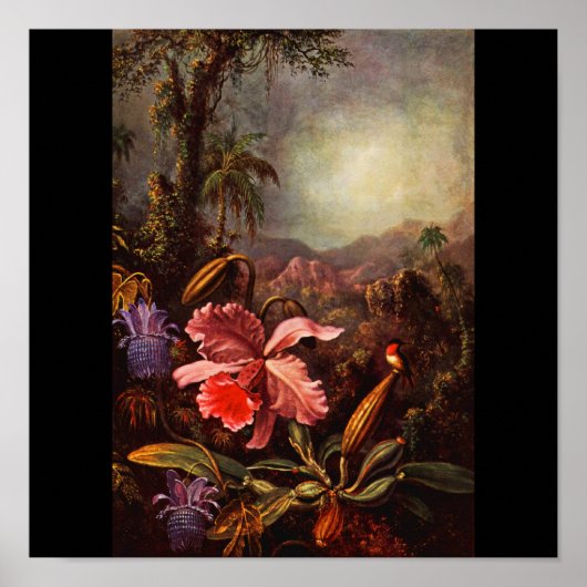 Poster-Klassieke/-Martin Johnson Heade 14 Poster (Voorkant)