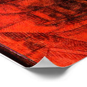 Poster Klee - Groins (Coin)