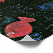 Poster Klee - Le poisson rouge, 1925 (Coin)