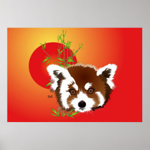 Poster Kleiner Panda (Ailurus fulgens)