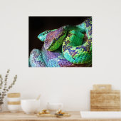 Poster kleurvolle slangen (Keuken)