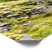 Poster Klifbrekkufossar, Islande (Coin)