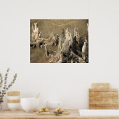 Poster Knees Cypress (Cuisine)