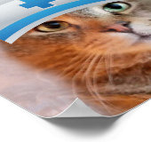 Poster KNOW YOUR NUMBERS Nurse Rupie (Coin)