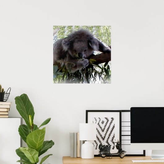 Poster Koala (Bureau à domicile)