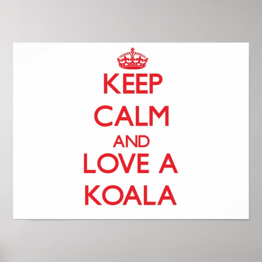 Poster Koala (Devant)