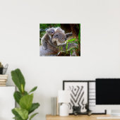 Poster Koala (Bureau à domicile)