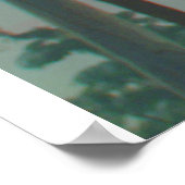 Poster Koala 3D Anaglyph (Coin)