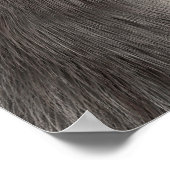 Poster Koala Bear (Coin)