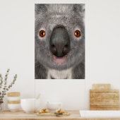 Poster Koala Bear (Cuisine)
