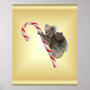 Poster Koala Bear et Joey Cub Candy Cane