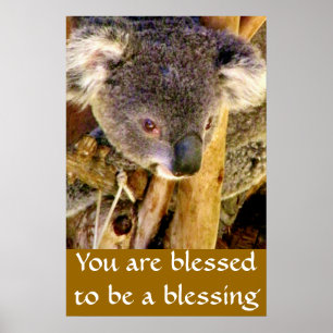 Poster Koala Bear & Message_