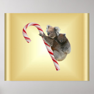 Poster Koala Bear Mum and Joey Climbing Candy Cane