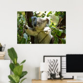 Poster Koala bébé incroyablement mignon dans un arbre (Bureau à domicile)