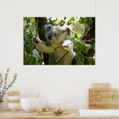 Poster Koala bébé incroyablement mignon dans un arbre (Cuisine)