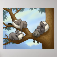 Poster Koala couché