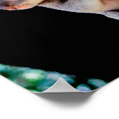 Poster Koala Cute en gris arbre (Coin)