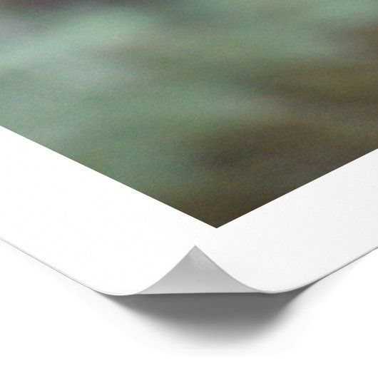 Poster Koala dans l'arbre (Coin)