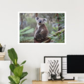 Poster Koala dans l'arbre (Bureau à domicile)