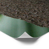 Poster Koala dans Tree Australie (Coin)