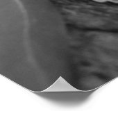 Poster Koala endormi Faune australienne (Coin)