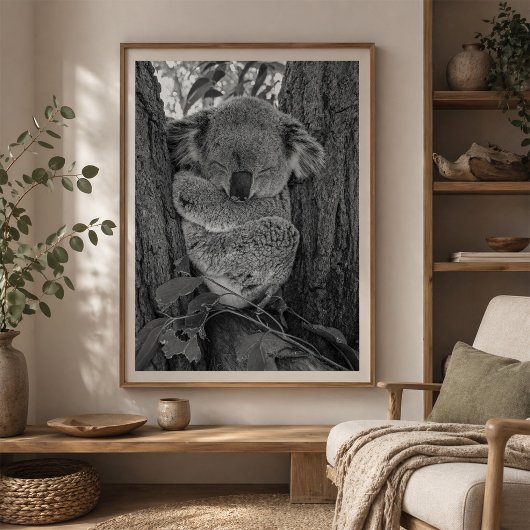 Poster Koala endormi Faune australienne