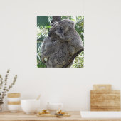Poster Koala Et Bébés Australie Photo ZIZAGO (Cuisine)