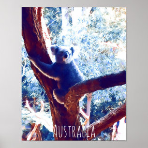 Poster Koala in tree animal Australie