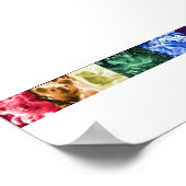 Poster Koala Love (Coin)