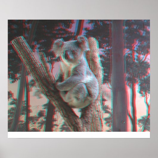 Poster Koala photogénique Poses pour la caméra en 3D (Devant)