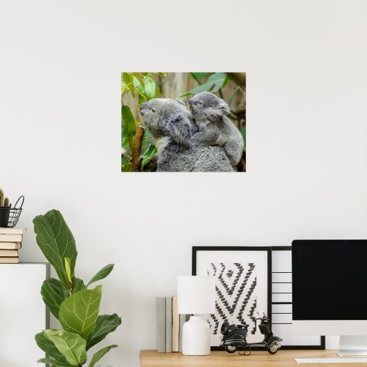 Poster Koalas (Bureau à domicile)