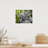 Poster Koalas (Cuisine)