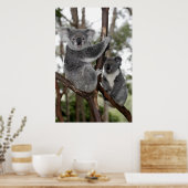 Poster Koalas dans les arbres (Cuisine)