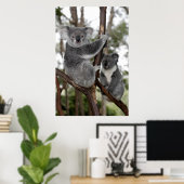 Poster Koalas dans les arbres (Bureau à domicile)