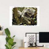 Poster Koalas endormi (Bureau à domicile)