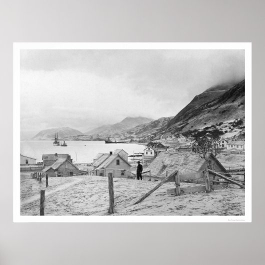 Poster Kodiak, Alaska Panorama 1909 (Devant)