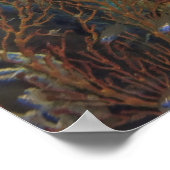 Poster Koh Lipe Banerfish (Coin)