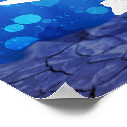 Poster Kohaku Koi 03 (Coin)