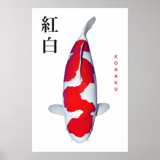 Poster Kohaku Koi Elegantie (Voorkant)