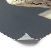 Poster Kohl Pot, représentant le dieu domestique égyptien (Coin)