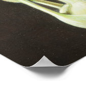 Poster Kohl Rabi 2012 (Coin)