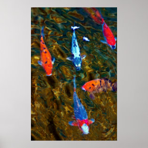 Poster Koi